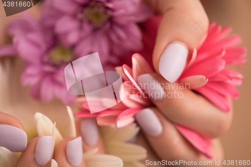 Image of woman hands with manicure holding flower