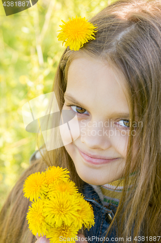 Image of Portrait of a happy eight year old girl with dandelions in hands, against a background of green foliage