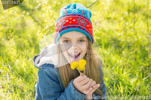 Image of Seven-year-old girl in the spring is pleased with the blossoming dandelions