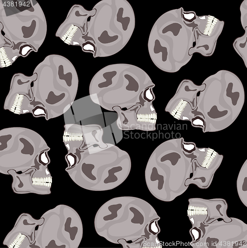 Image of Skull of the person pattern