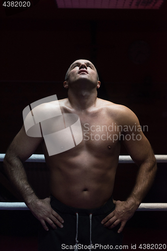 Image of portrait of muscular professional kickboxer