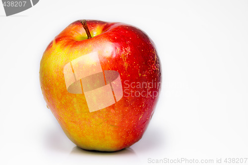 Image of Apple on white