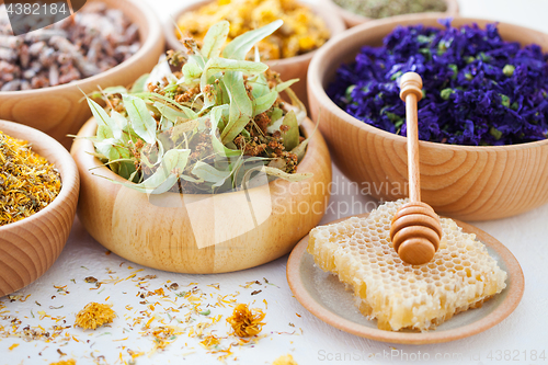 Image of herbalism