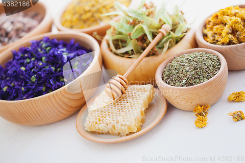 Image of herbalism