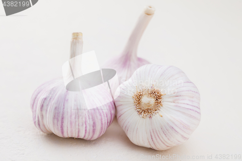 Image of garlic bulbs on white background