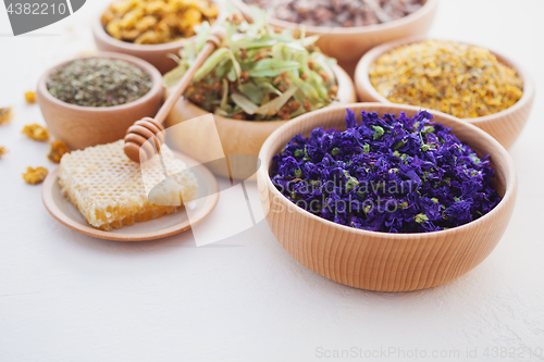 Image of herbalism