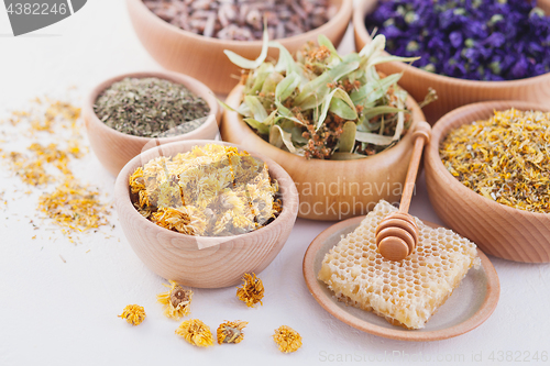 Image of herbalism