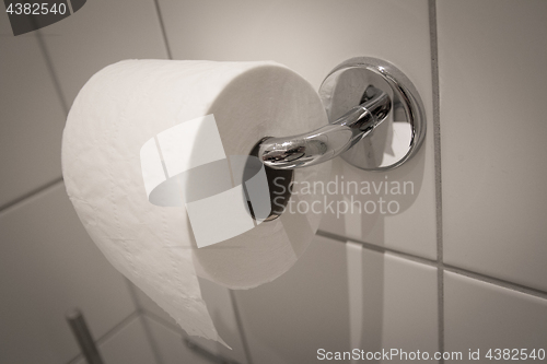 Image of Toilet Paper