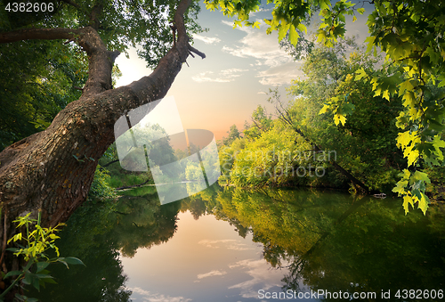 Image of Pond at sunset