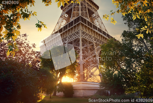 Image of Eiffel Tower in the autumn