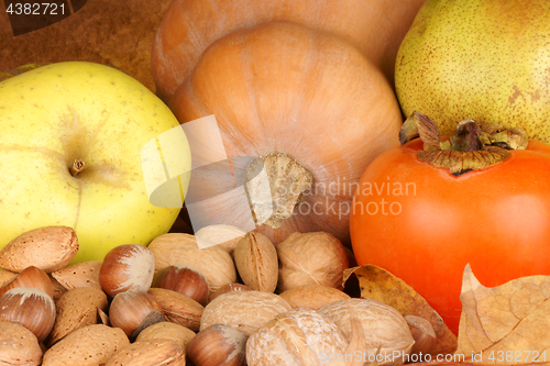 Image of Autumn fruits