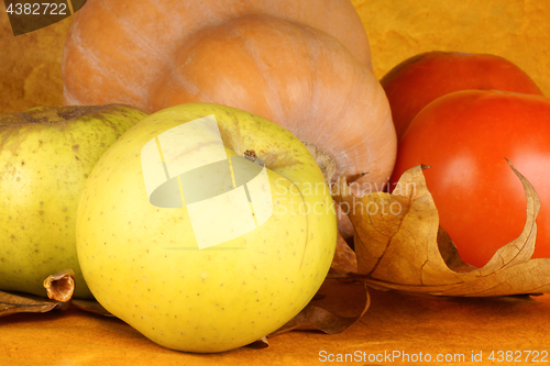 Image of Autumn fruits