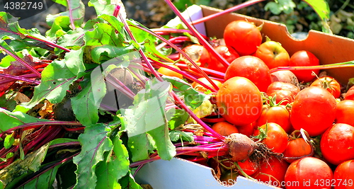 Image of Organic beets and tomatoes.