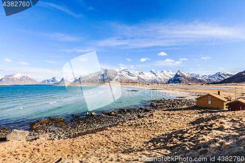 Image of arctic beach