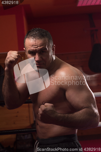 Image of professional kickboxer in the training ring