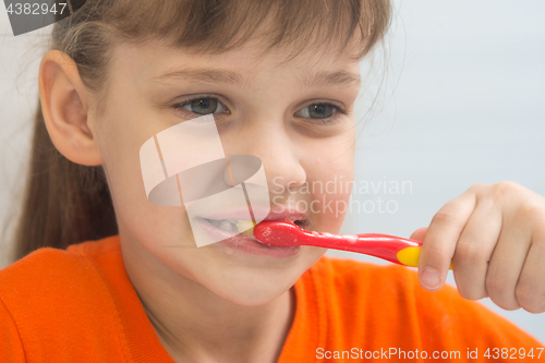 Image of Seven-year-old girl brushes teeth, close-up