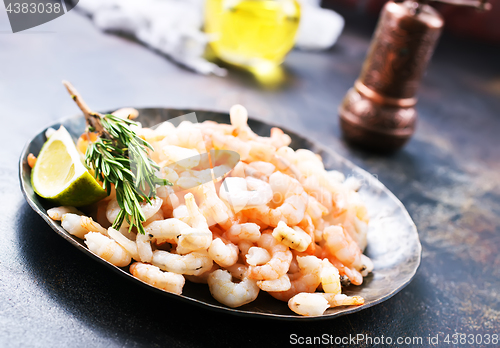 Image of shrimps