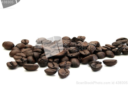 Image of Gourmet Coffee Beans