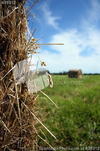 Image of Hay Bales, Near and Far