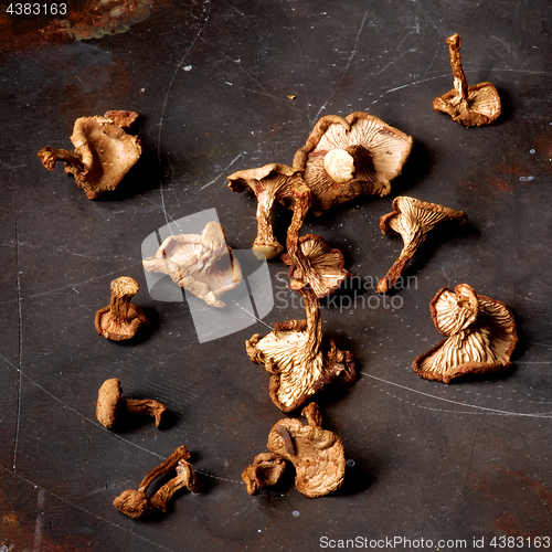 Image of Dried Chanterelles Mushrooms