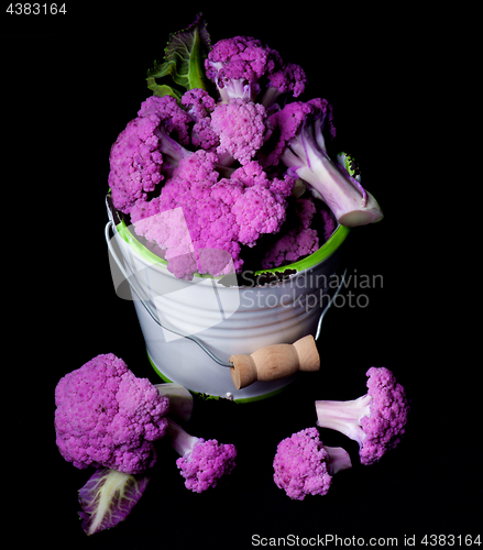 Image of Fresh Purple Cauliflower