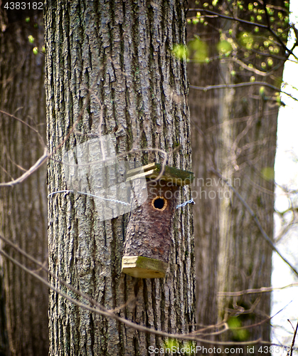 Image of Birdhouse on Tree