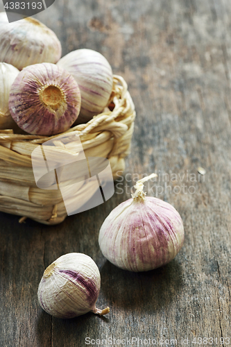 Image of Fresh purple garlic in a small straw basket 