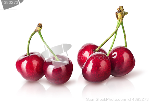 Image of Several perfect sweet cherries