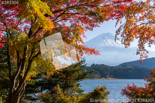 Image of Mt.Fuji in autumn