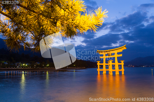 Image of Torii in Itsukushima shine of Hiroshima Bay at night