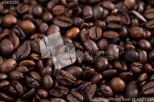 Image of Roasted coffee bean