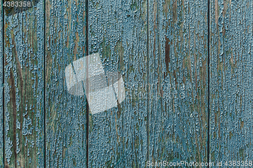 Image of Vintage wood background with peeling paint.