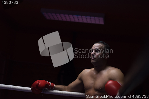 Image of kick boxer resting on the ropes in the corner