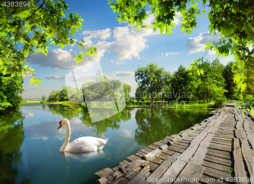 Image of Bridge on the river