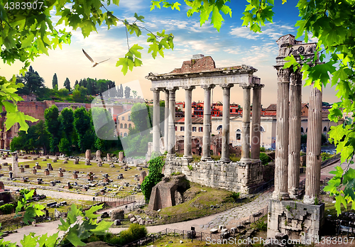 Image of Roman Forum Italy