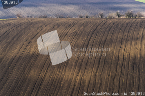 Image of Spring landscape with brown field and trees