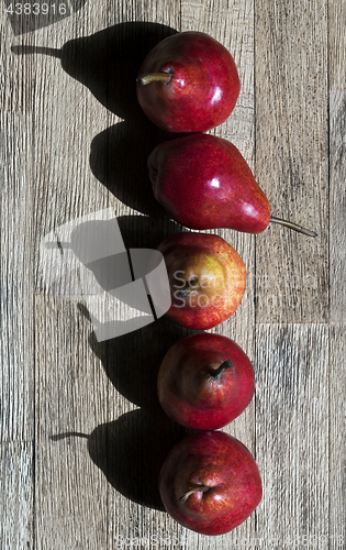 Image of Pears in a row. Top view