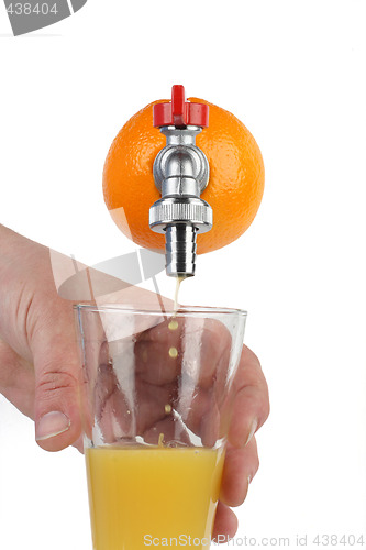 Image of fresh orange