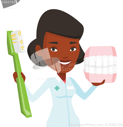 Image of Dentist with dental jaw model and toothbrush.