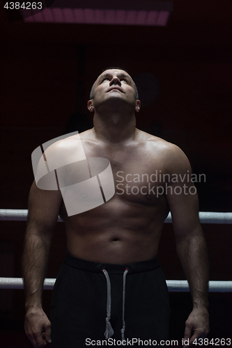 Image of portrait of muscular professional kickboxer