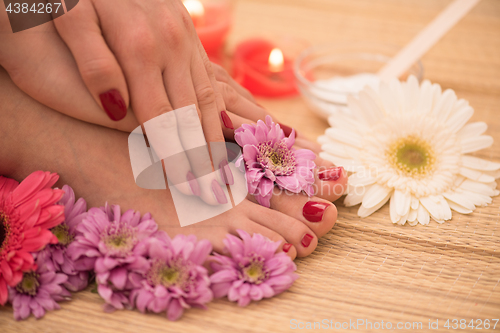 Image of female feet and hands at spa salon