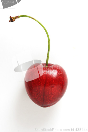 Image of the single cherry