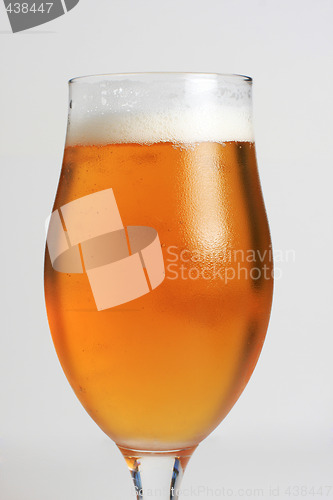 Image of Icecold beer