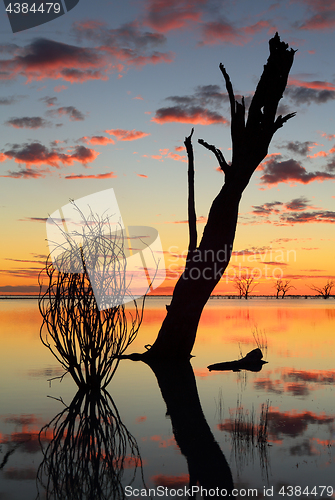 Image of Sunset and silhouettes over the lake 