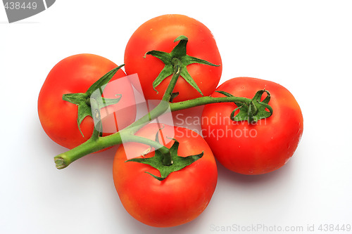 Image of four tomatoes