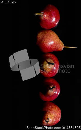 Image of Pears in a row. Top view