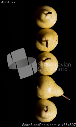 Image of Pears in a row. Top view