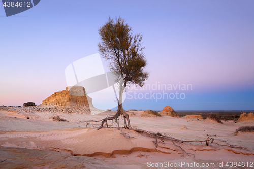 Image of Searching for water arid landscape