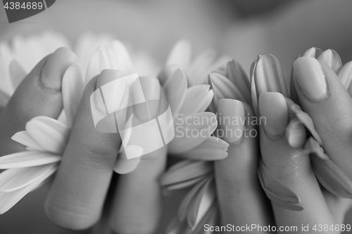 Image of woman hands with manicure holding flower