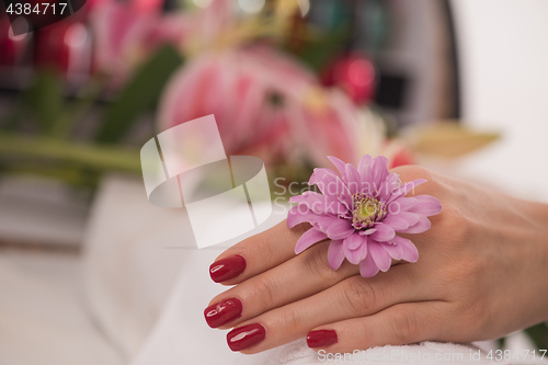 Image of woman fingers with french manicure